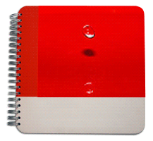 Motion Lenticular NoteBook Animation Lenticular Printing